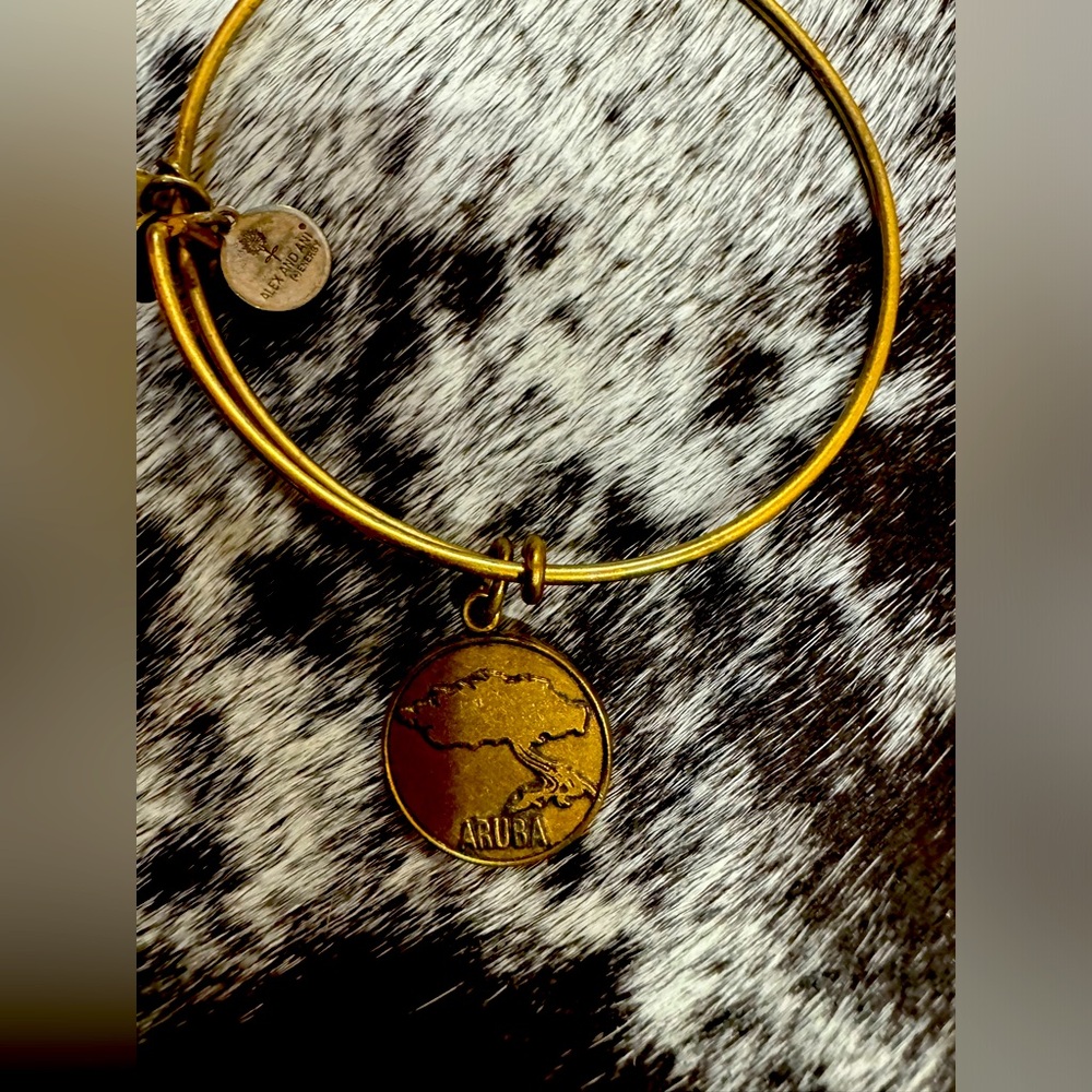 Aruba charm bangle